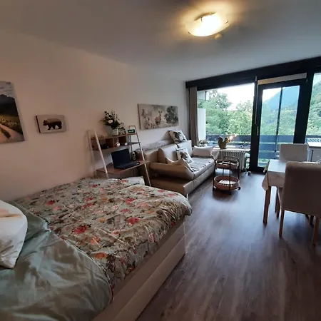 Apartamento Alpenschwaenchen 3 - Rupertusschwaenchen *